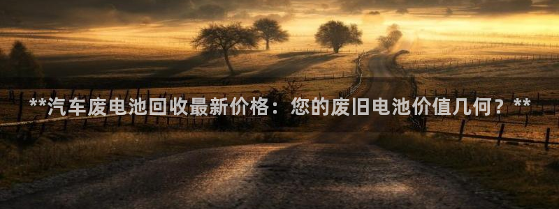 优发国际平台手机版下载