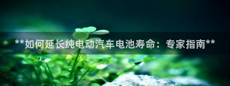 优发国际官网是多少号码