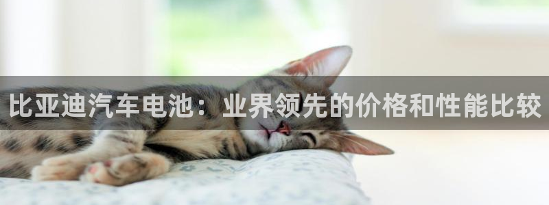 优发国际手机版下载安装