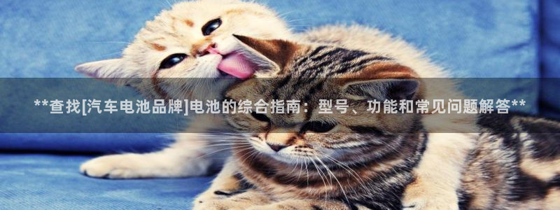 优发国际网页