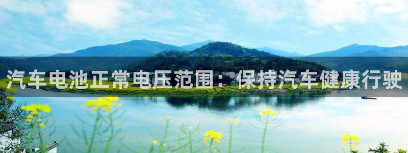 优发国际平台u8是什么软件