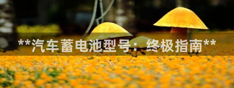 优发国际游戏官网