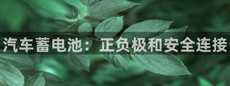 优发国际平台app下载苹果版