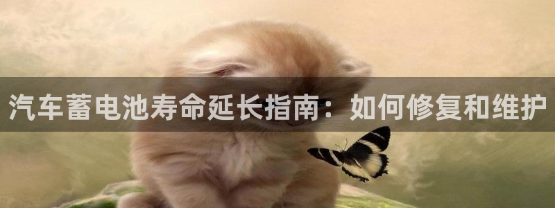 优发国际手机客户端下载安装不了