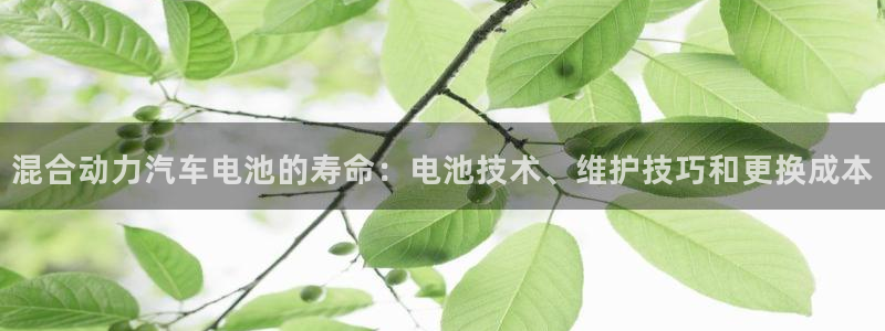 优发国际手机客户端下载