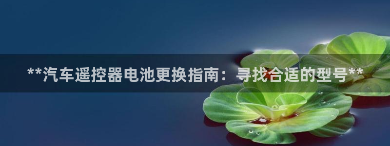 优发国际是大平台吗