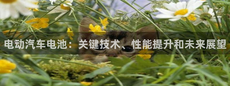 优发国际官网是多少