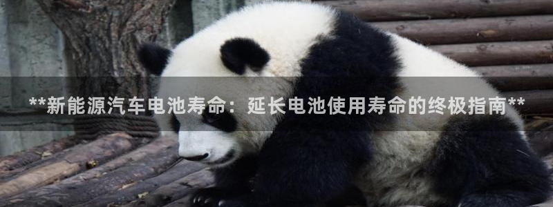 优发国际官网入口app下载安装