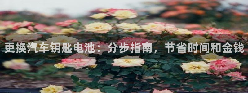 优发游戏官网