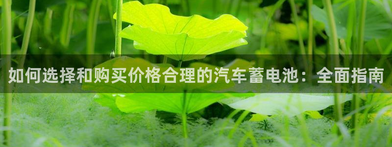 优发国际娱乐官网多少?