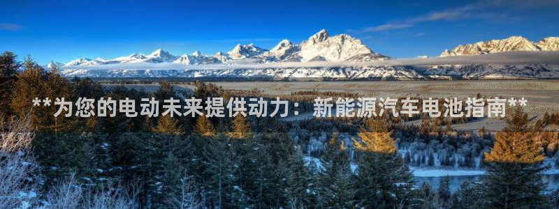 优发国际官方网手机版app