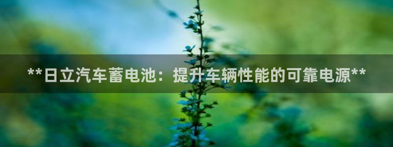优发国际官方网手机版下载苹果