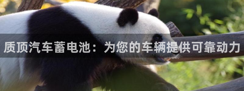 优发国际手机登录下载安装官网