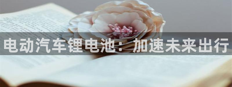 优发国际这个平台怎么样啊