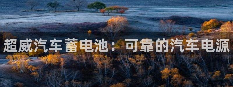 优发国际手机版唯一官网是什么