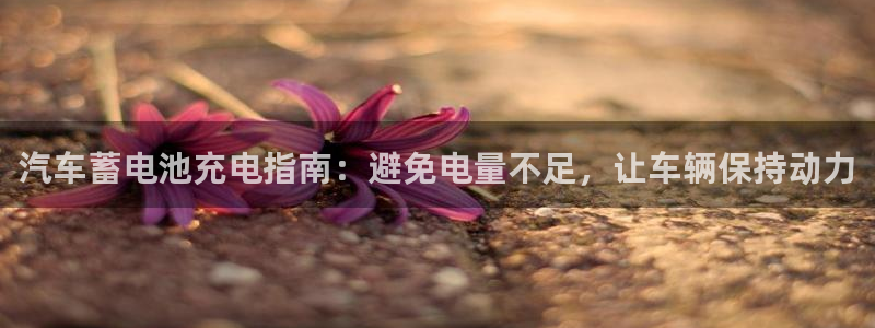 优发国际官方网手机版入口