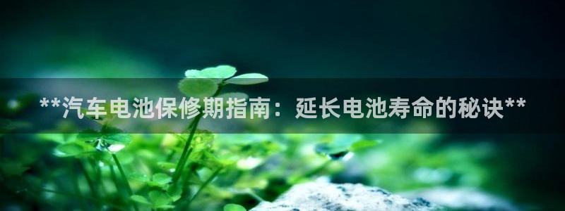 优发国际手机版客户端