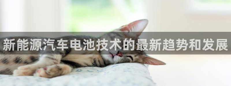 优发国际一触即发登陆