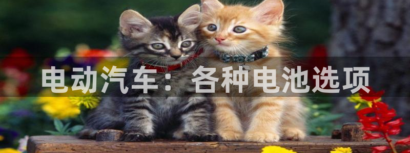 优发国际网站178
