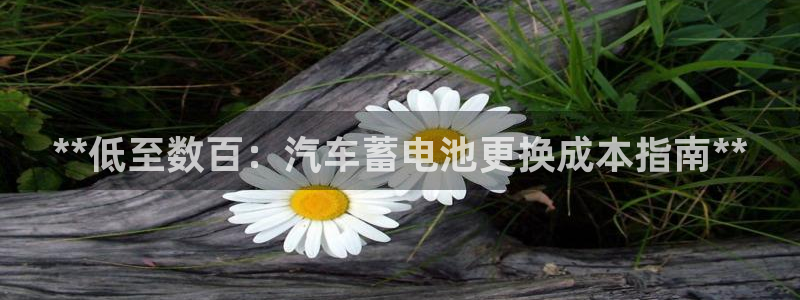 优发国际是不是黑网