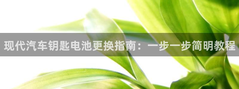 优发国际youfa966