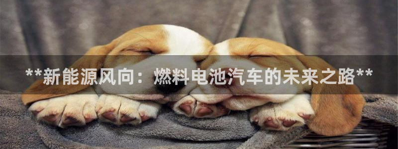 优发国际注册账号
