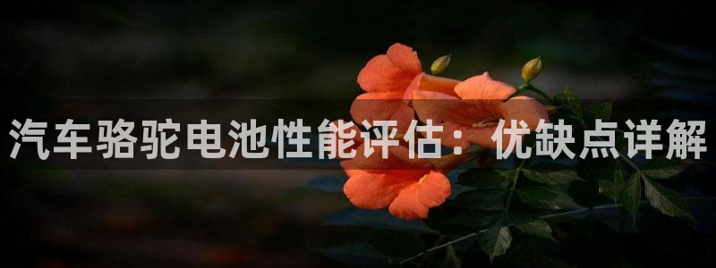 优发国际官网下载