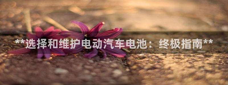 优发国际手机app下载安装官网
