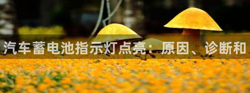 优发国际手机客户端下载安卓