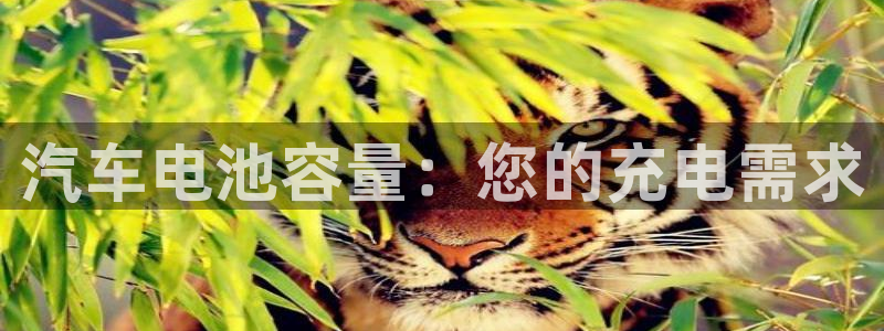 优发国际是什么