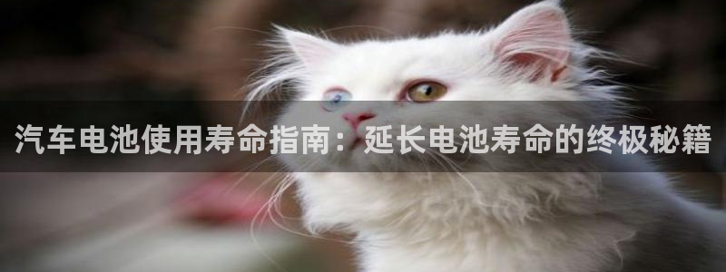 优发国际网官网