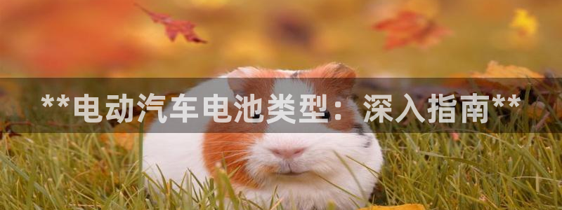 优发国际客服联系方式