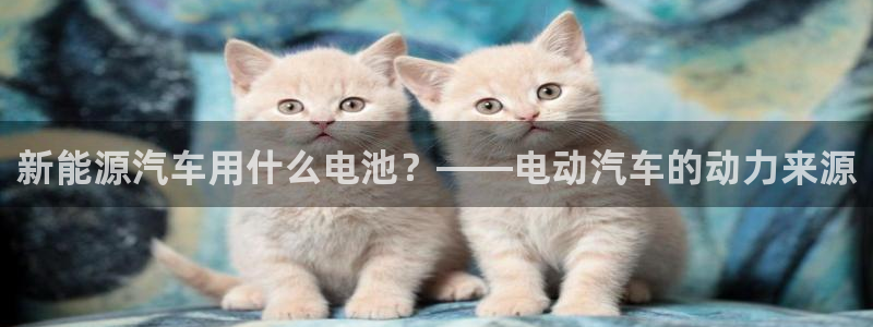 优发国际集团股份有限公司招聘