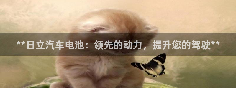 优发国际手机版网站入口