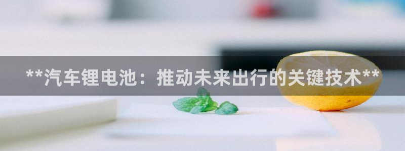 优发国际首页官网
