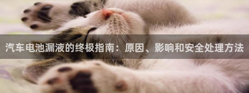 优发国际手机客户端官网下载