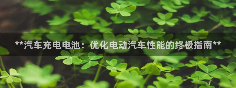 优发国际官方网手机版