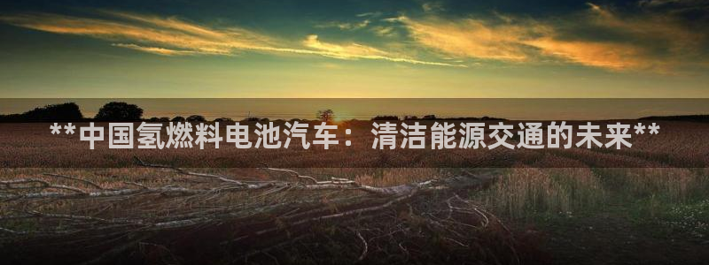 优发国际官方网