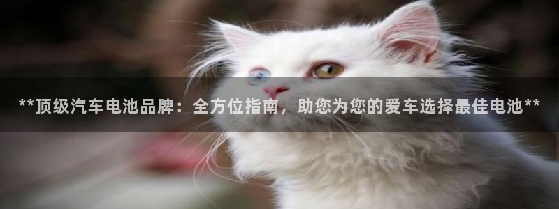 优发国际官网qy88