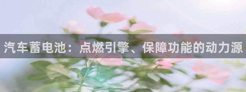 优发国际客服联系方式电话