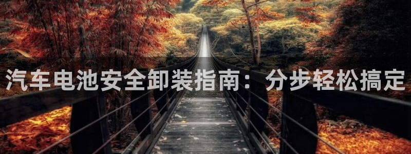 优发国际平台u8是什么软件