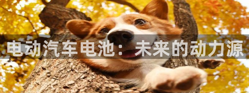 优发国际app登录密码