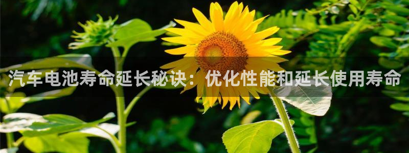 优发国际游戏17