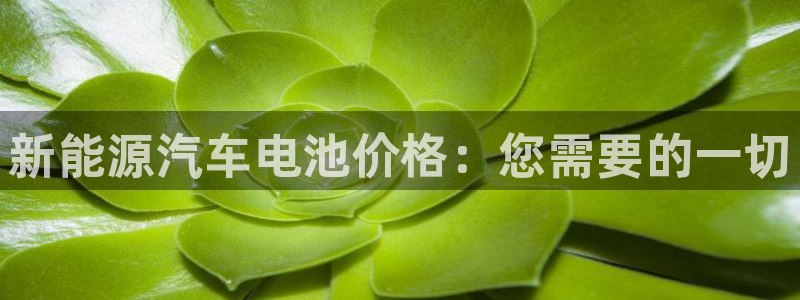 优发国际官网手机版代理