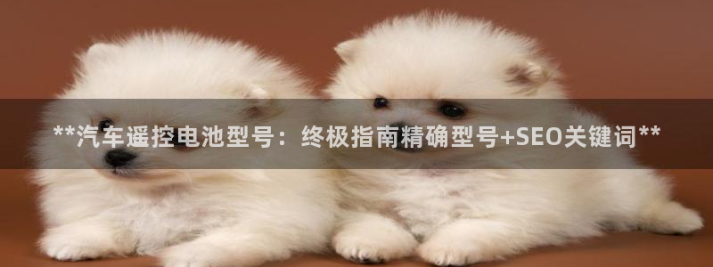 优发国际官网手机版代理