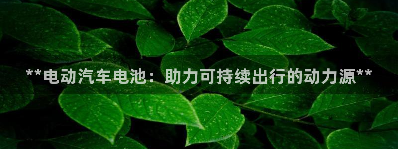 优发国际官网手机版下载安卓