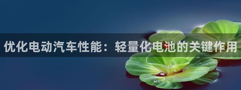 优发国际手机版下载安装