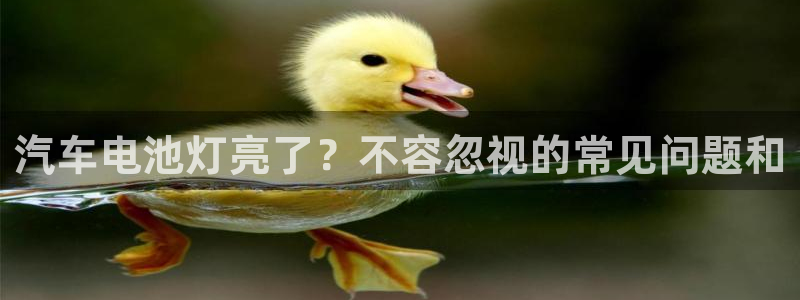 优发国际平台手机版下载官网