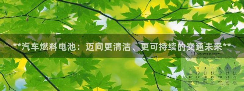 优发国际软件下载官网