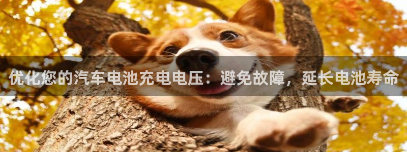 优发国际手机app下载地址